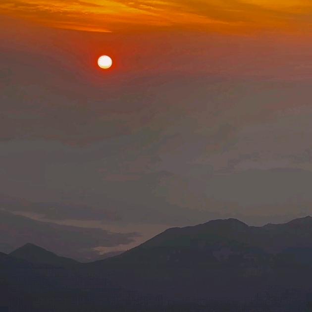 林子（上海～嘉定）