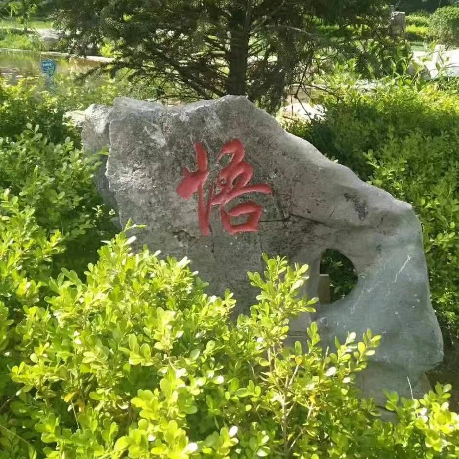 遗忘🔥