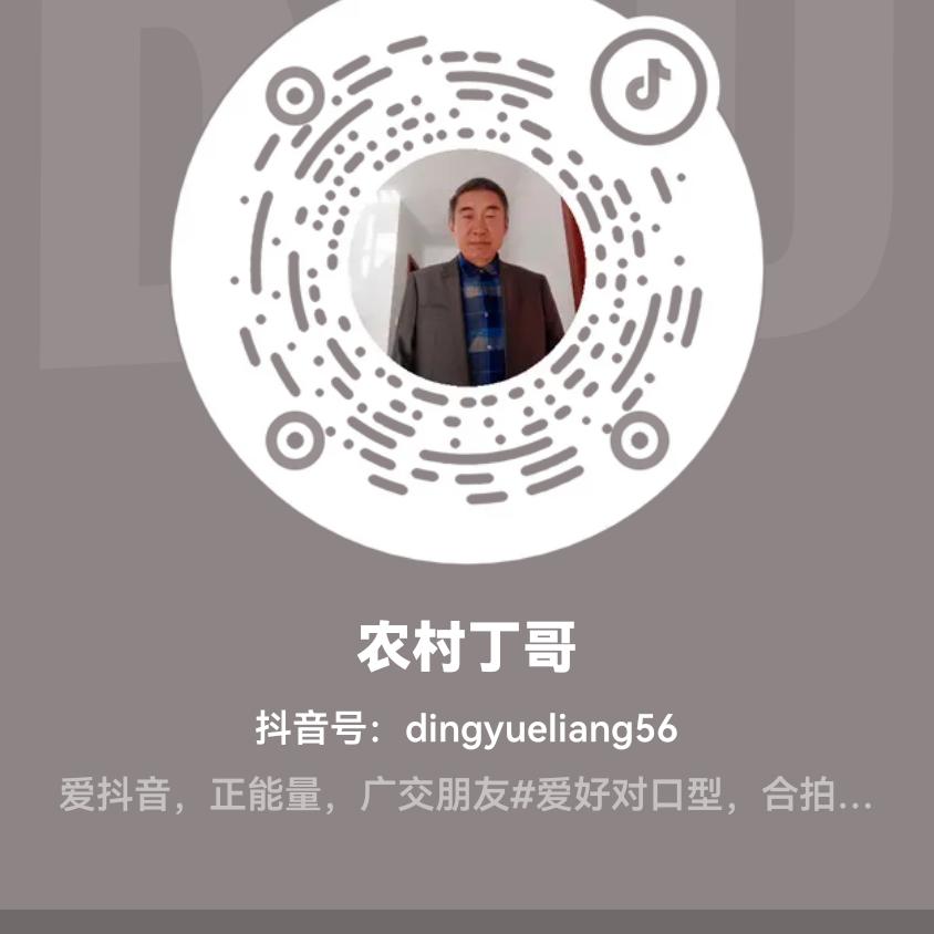 农村丁哥