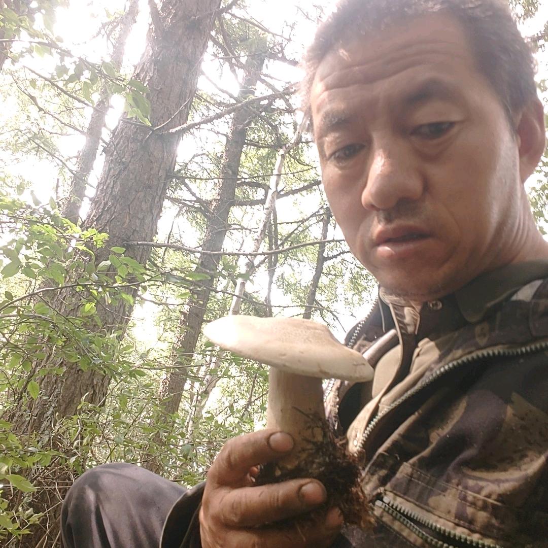 灵荟神池，