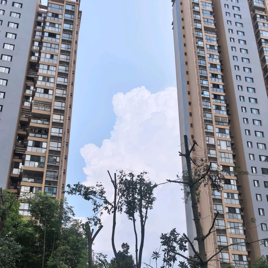 可蓝可蓝的一天