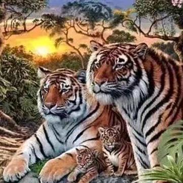 一切都不在美好