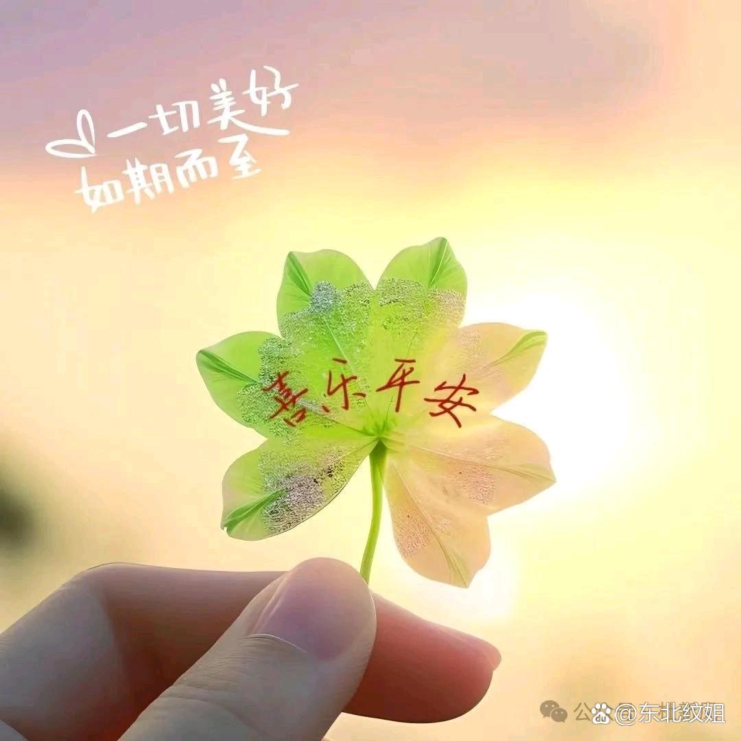 喜乐平安🍎