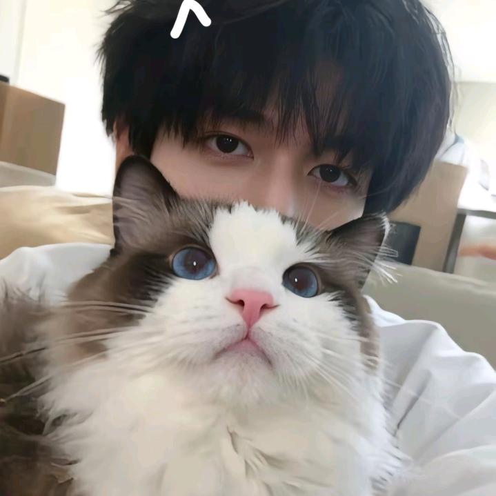 豚踢兔.