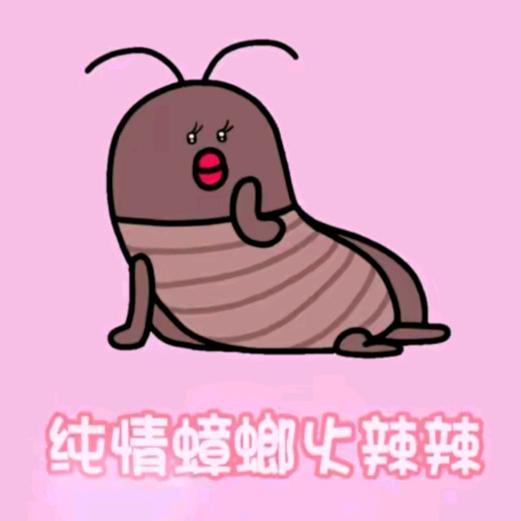 半夜蘸着舍友的屎一口一个爆浆小蟑螂
