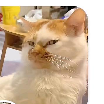 *_雯