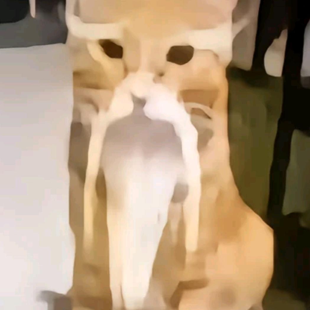 哈气仙人