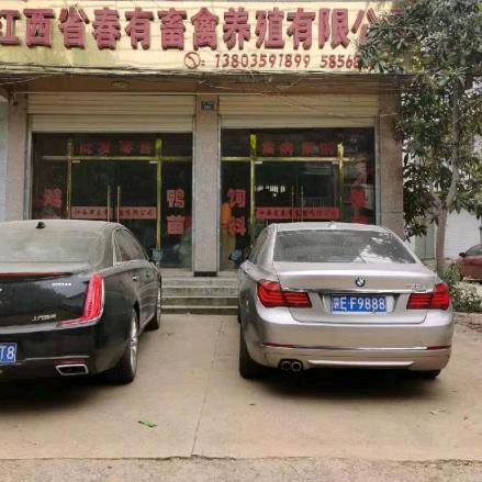 江西禽苗公司