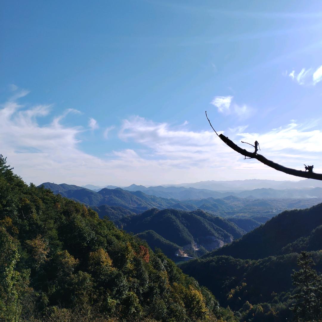 云间生态农场