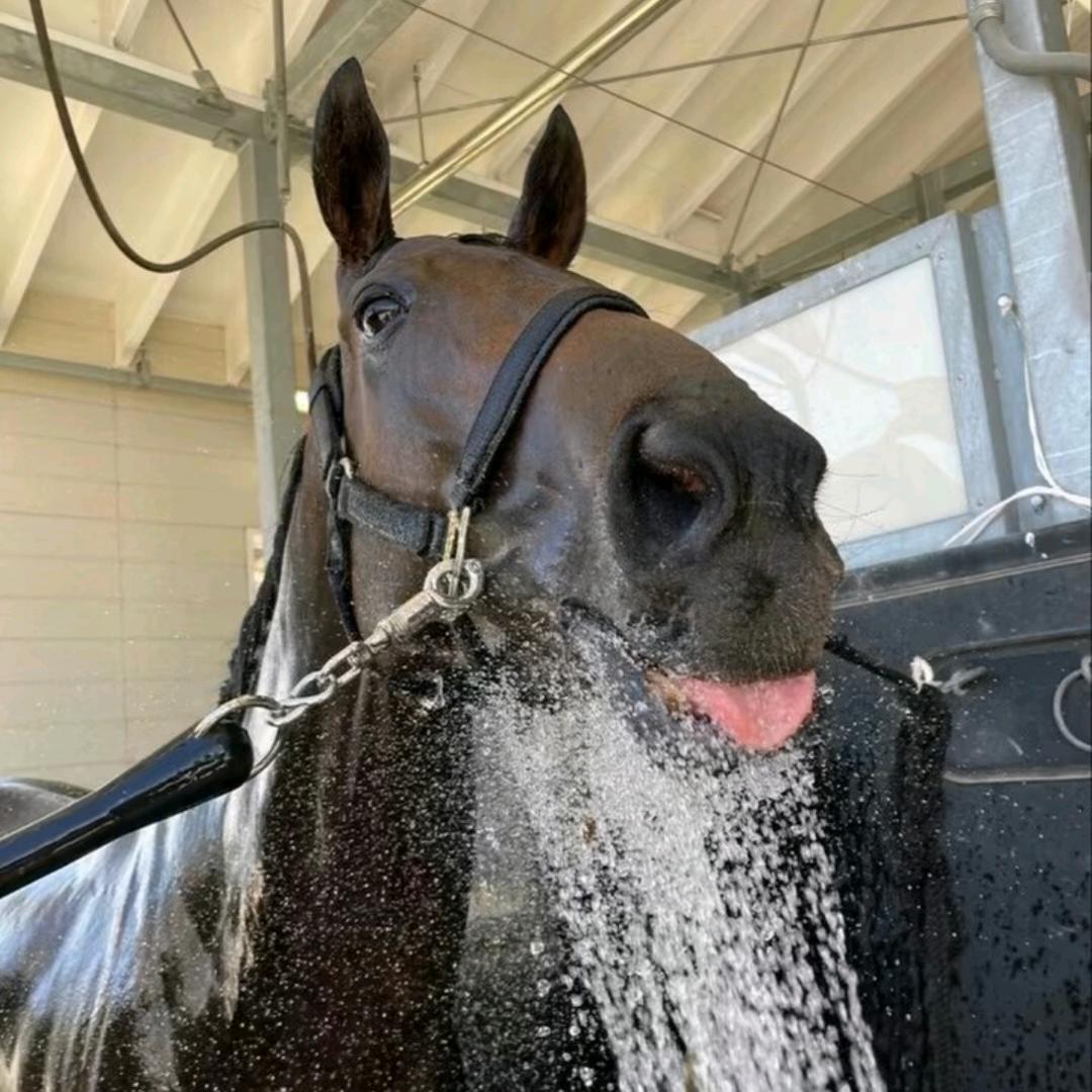 mushini-龙可🏇