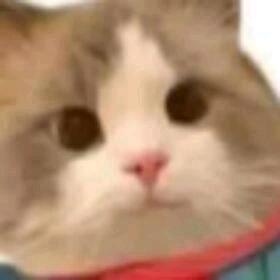 嗯？冲！头像
