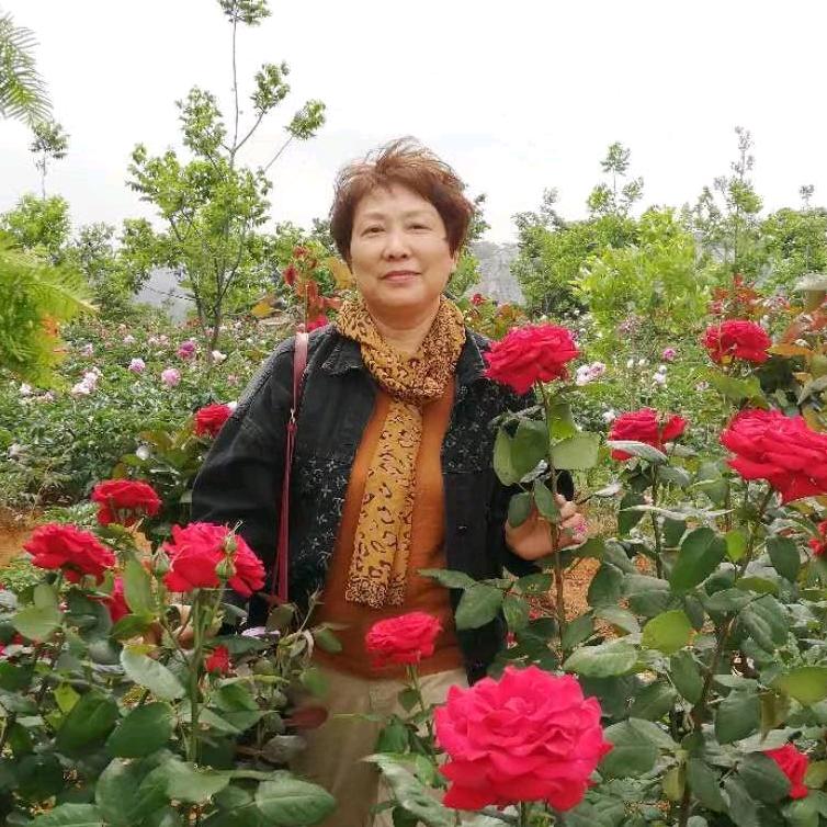 宜兴粽子西施