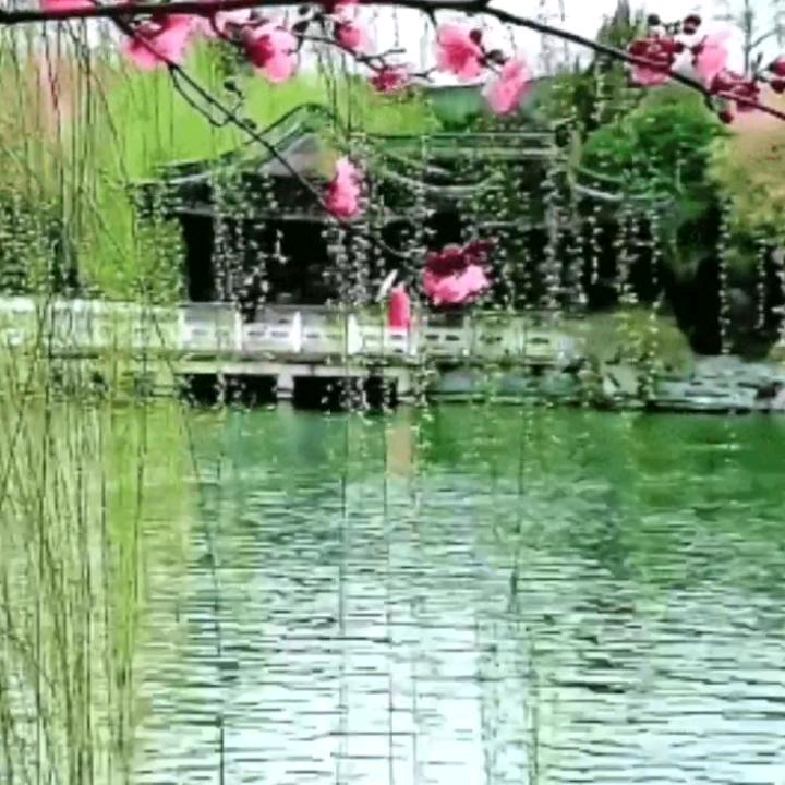 那就这样