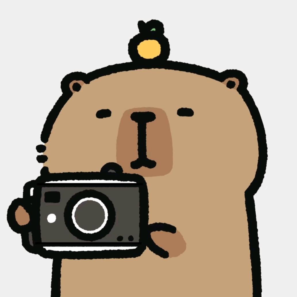 卡皮巴拉在街头