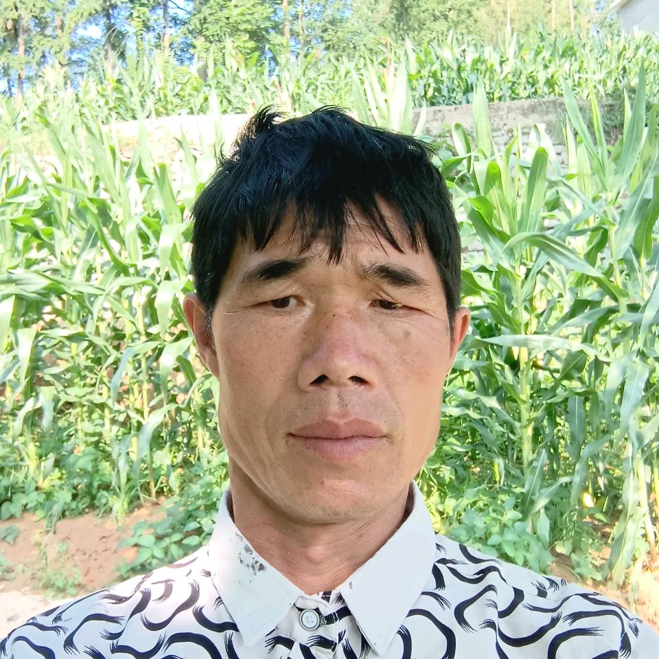（张应林）