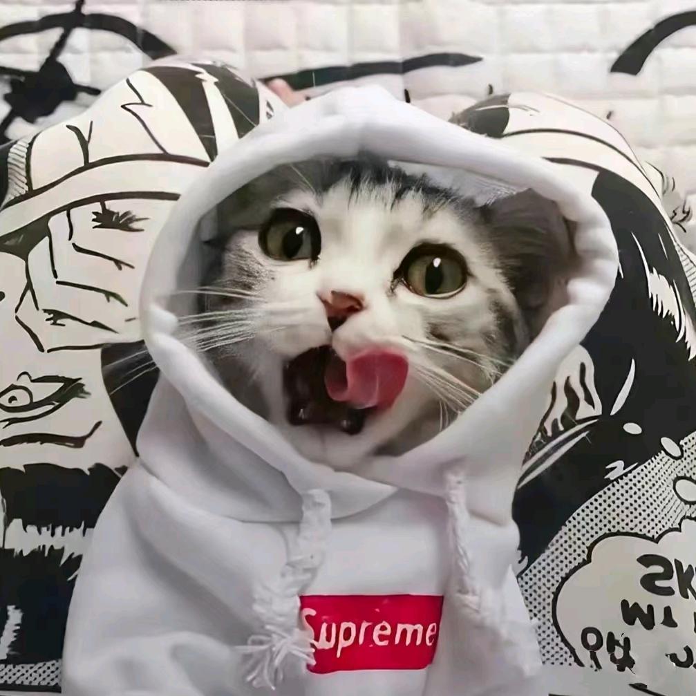 喝可乐的猫、