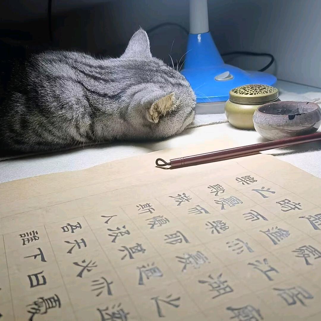 如梦令