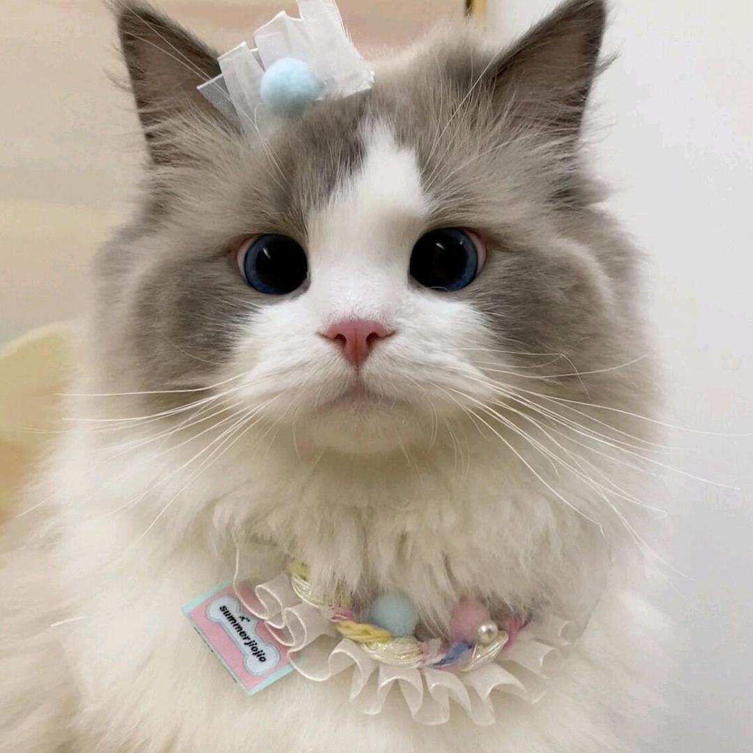 🍉🍉🍉(⁎⁍̴̛ᴗ⁍̴̛⁎)👀