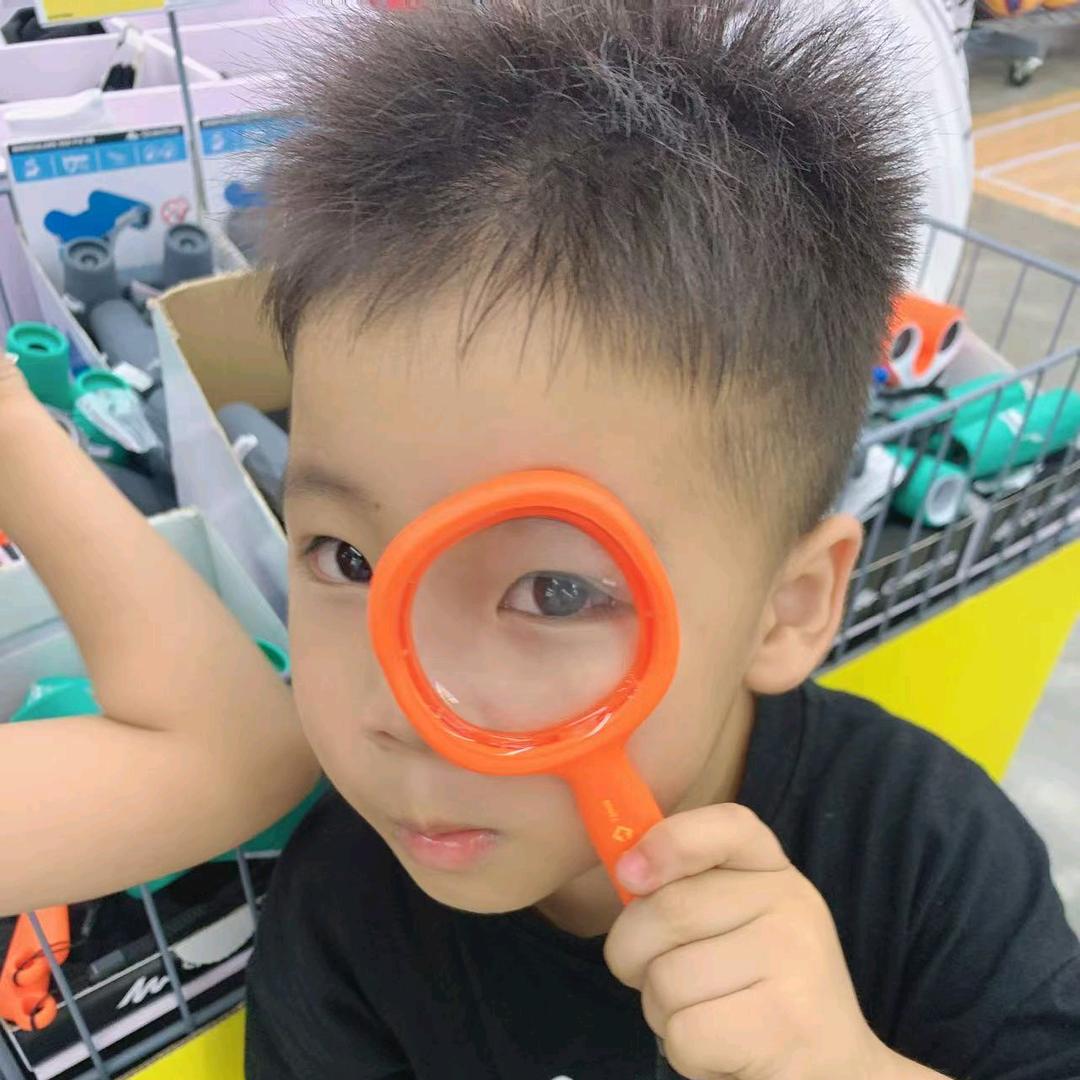 会飞的鱼