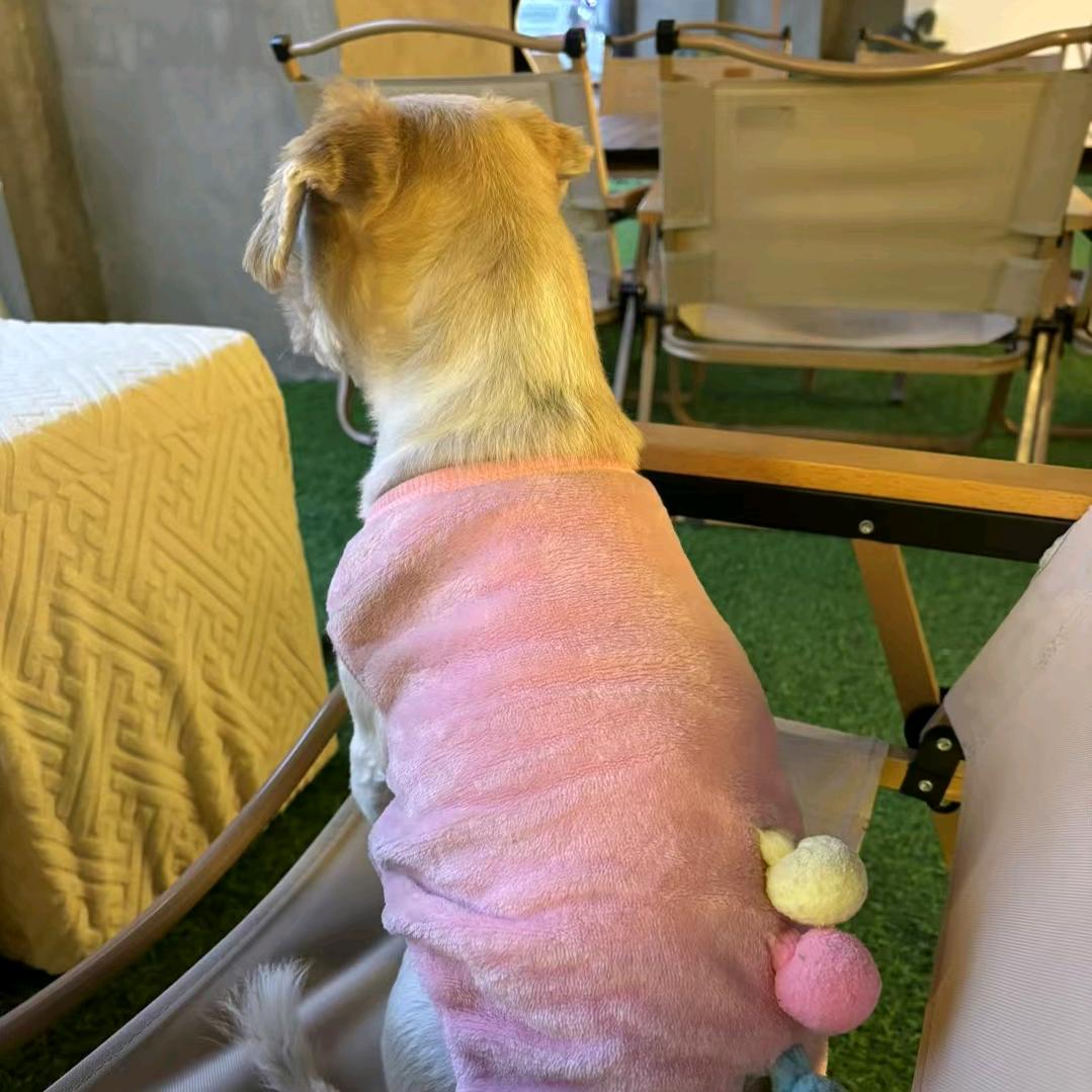 千里°