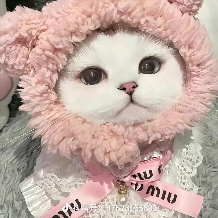 😘女王