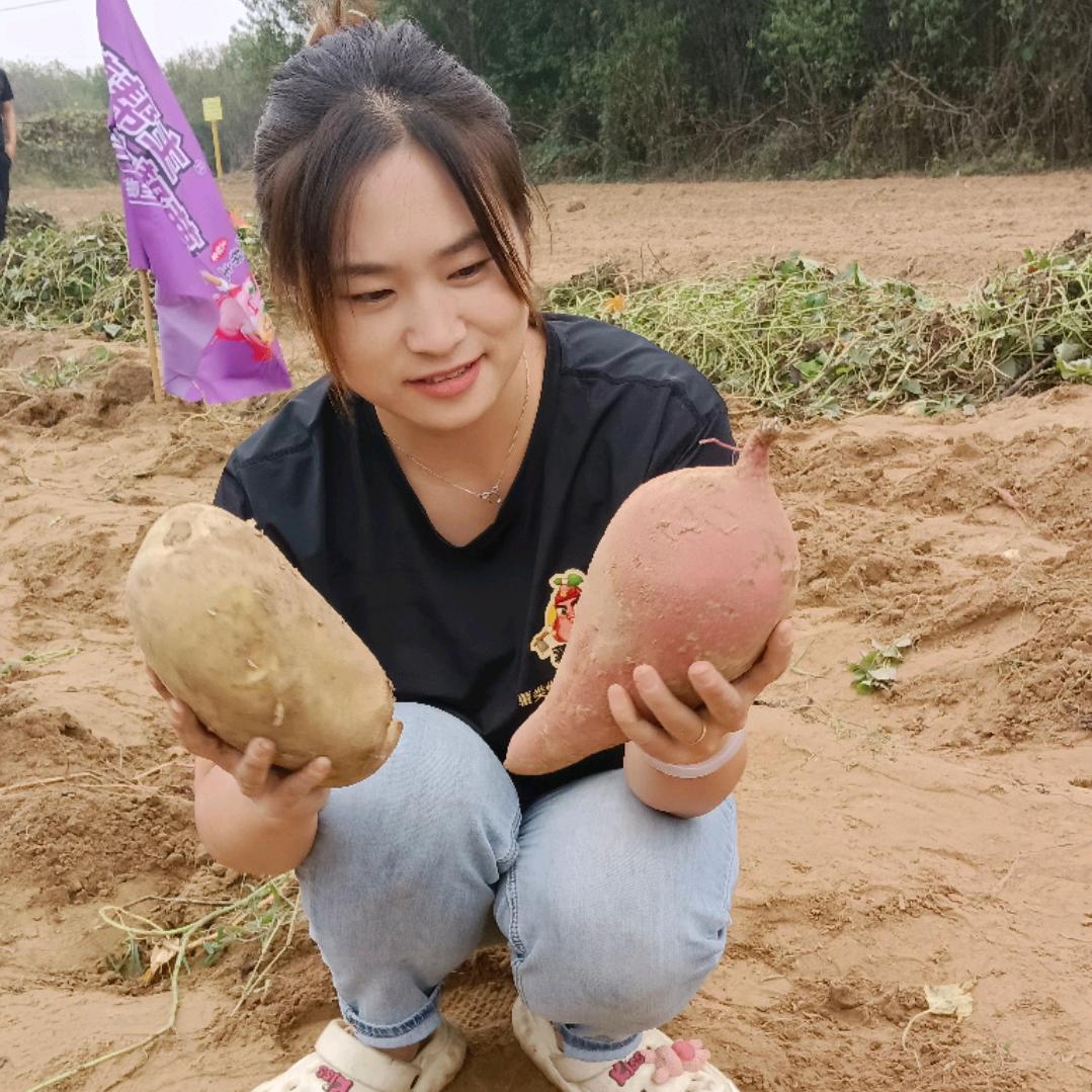 薯帮主 薯大王乐乐