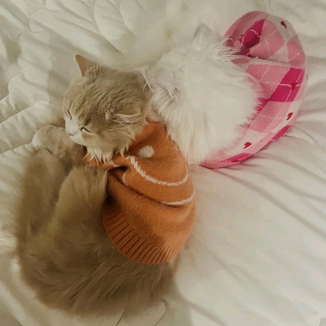 吃吃睡睡有力气