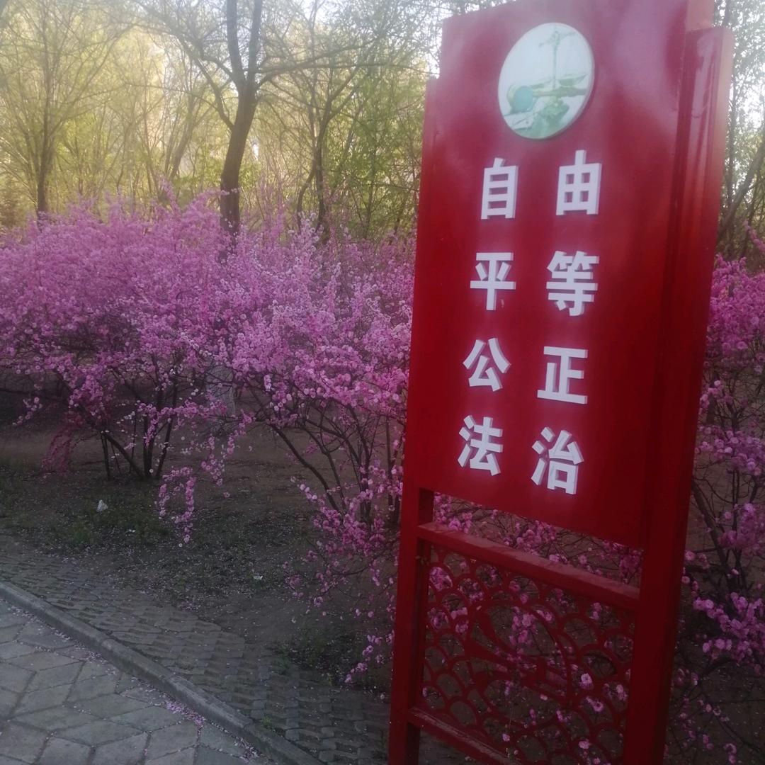 心语哥