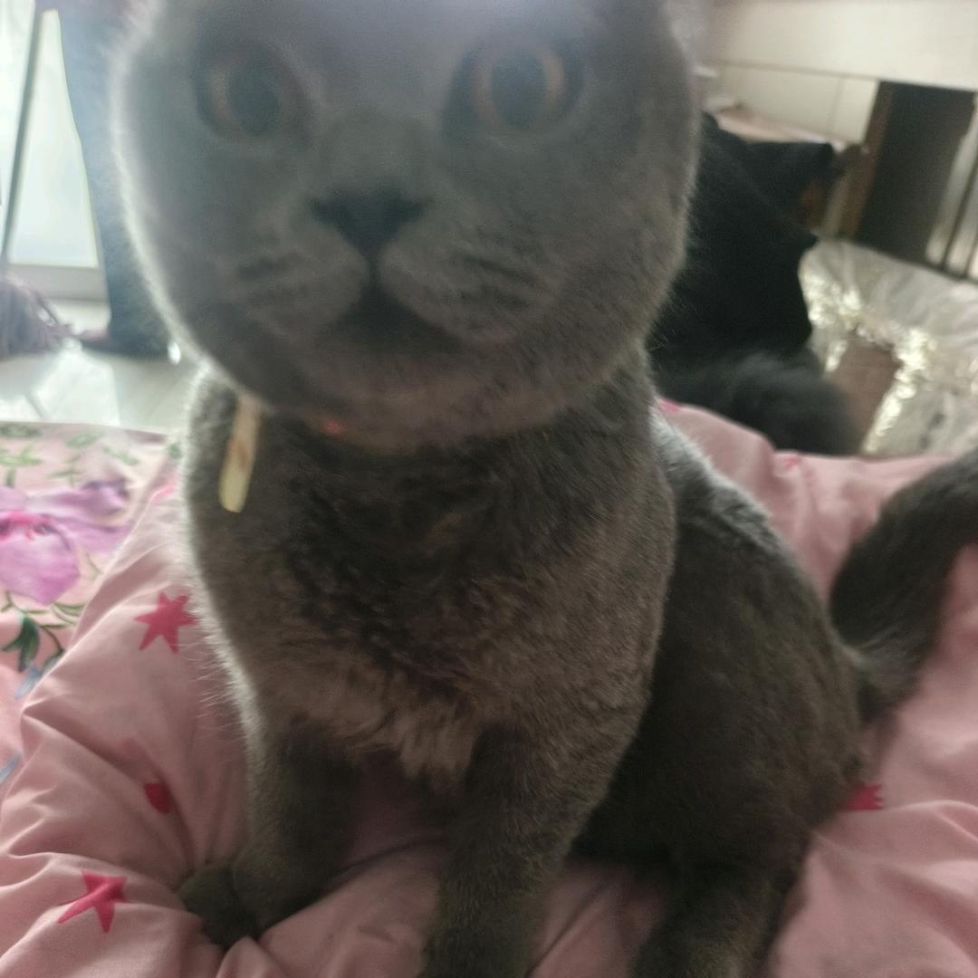 👉 某👩‍❤‍👨 夫人
