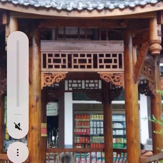 丛新开始