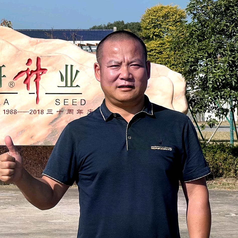 锋哥讲蔬菜