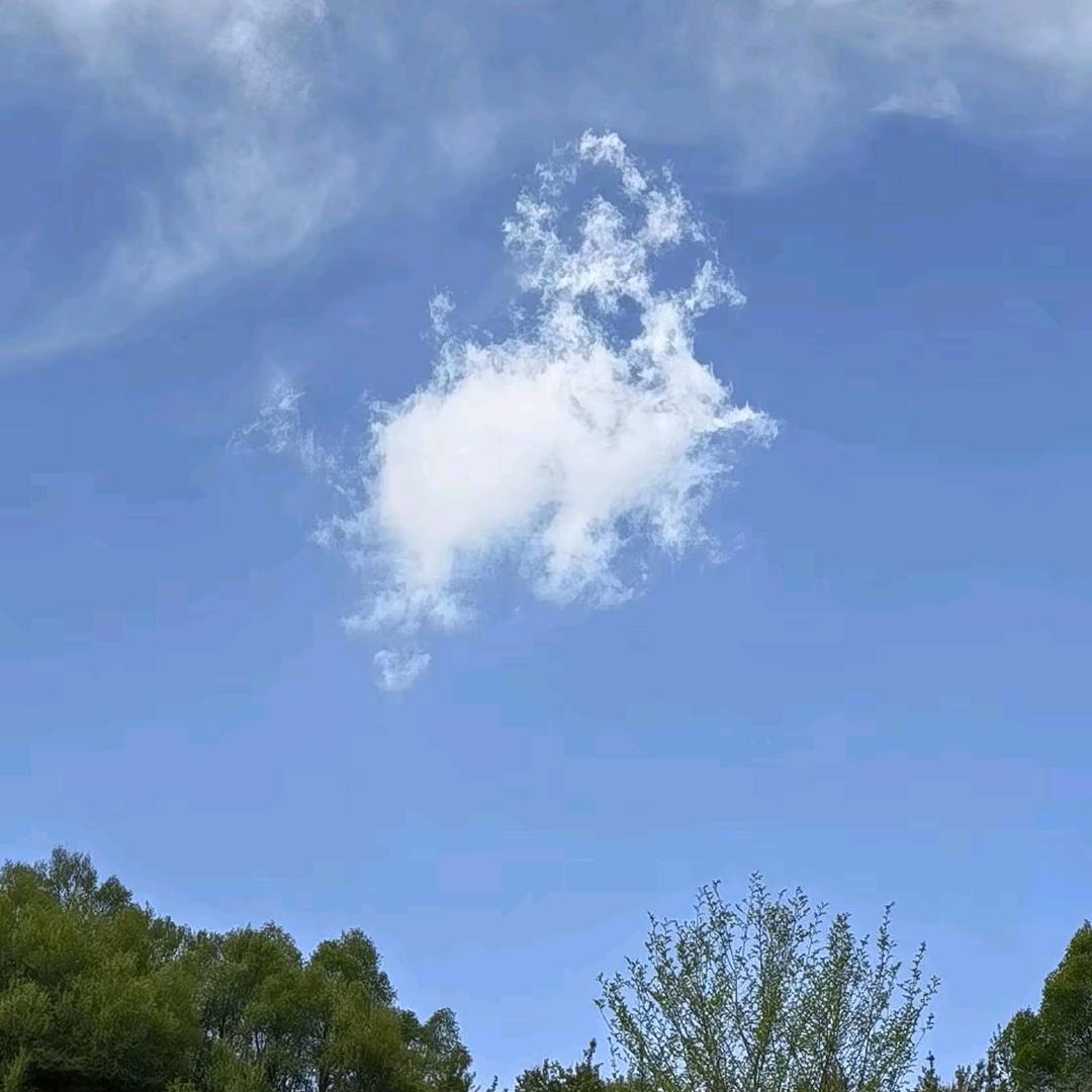 吴姗姗