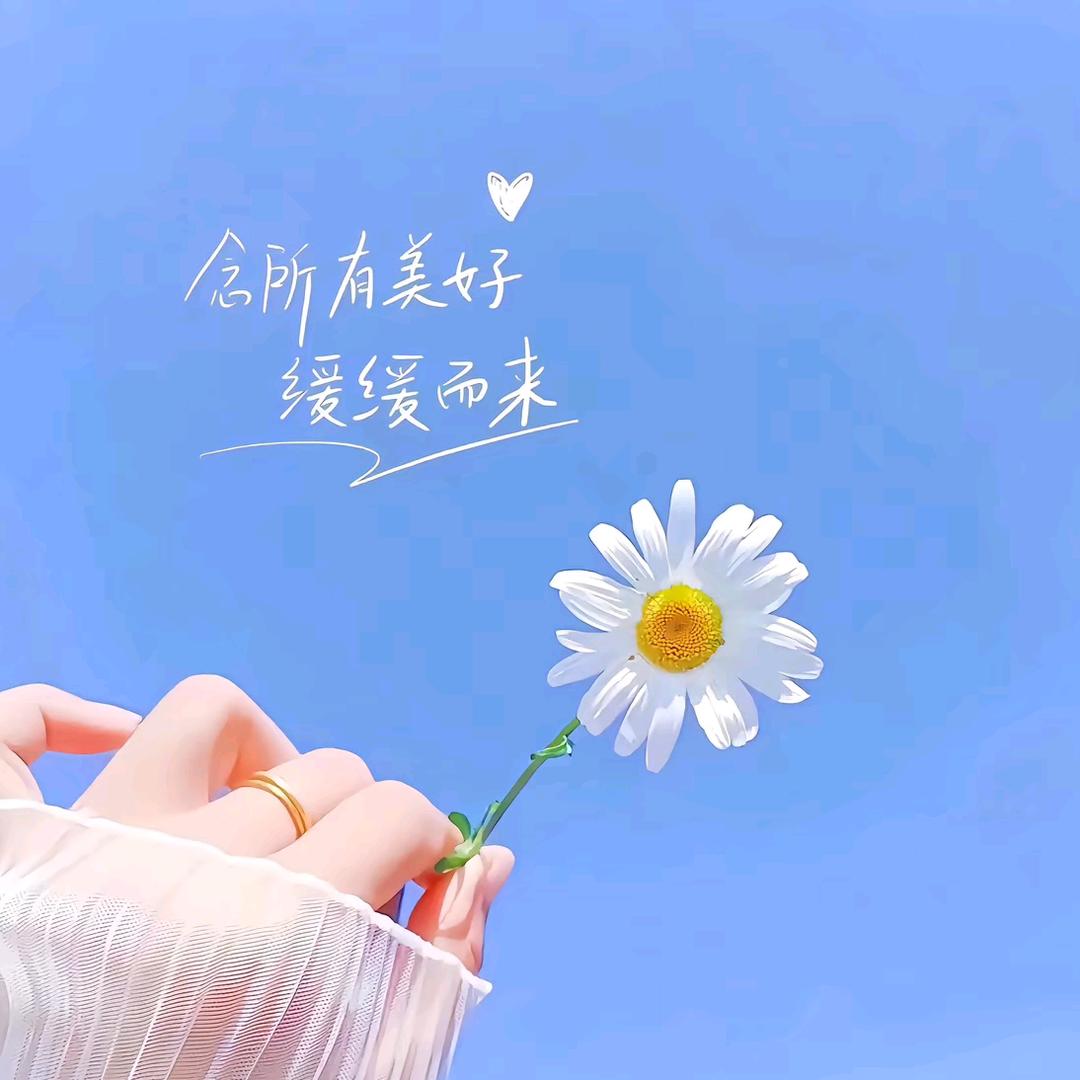 芯博妈妈