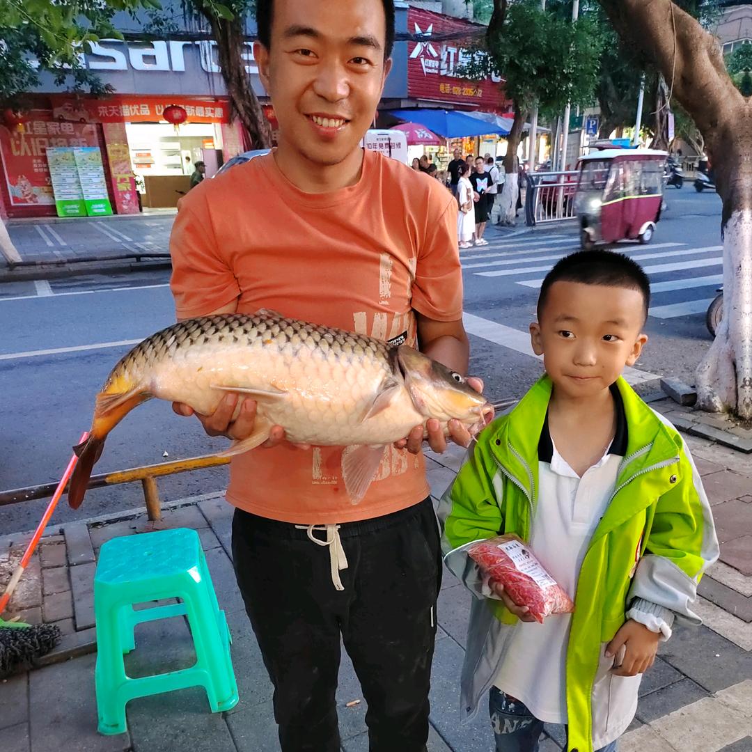 老麻