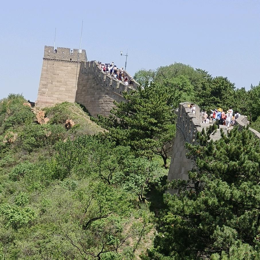 王小丫