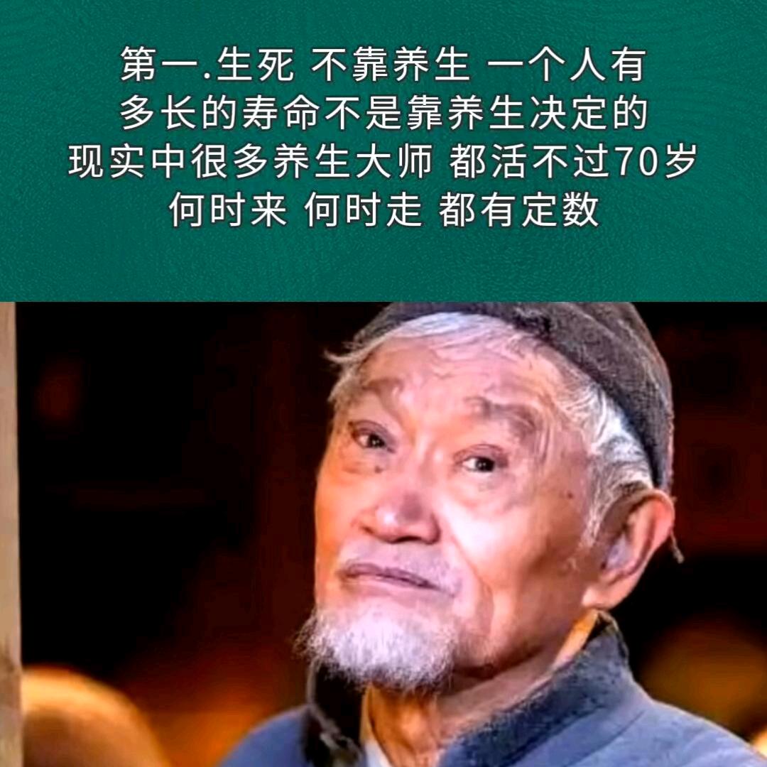 毛毛酱（老实版）