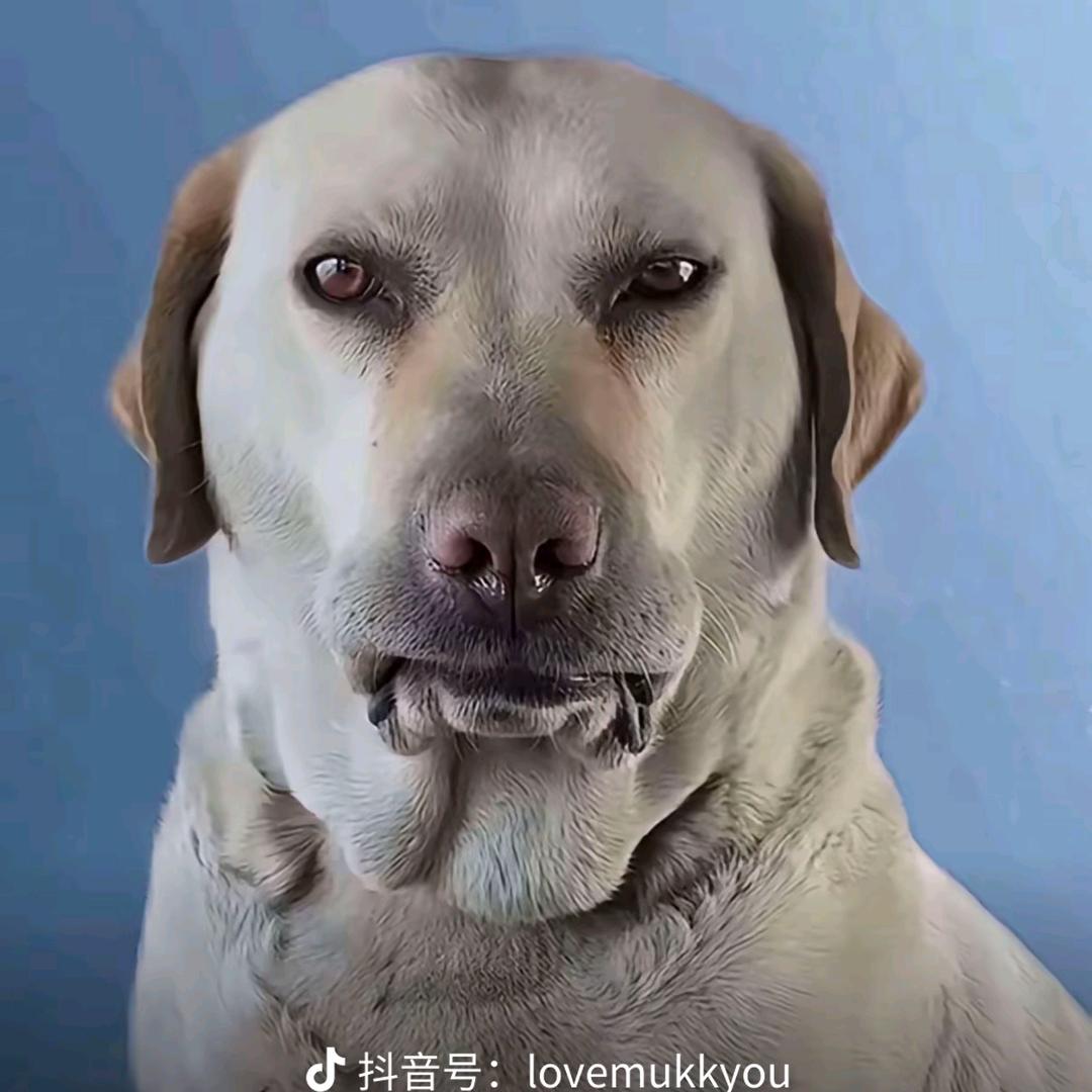 别管..