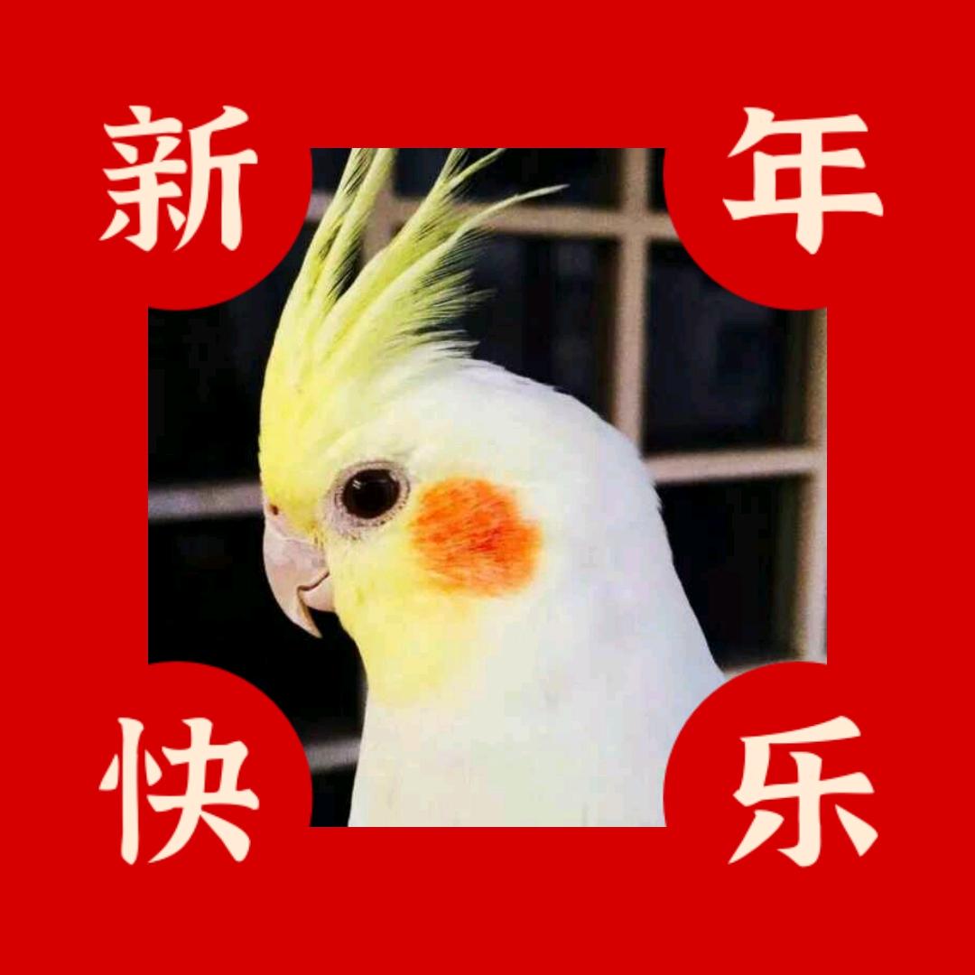苗苗