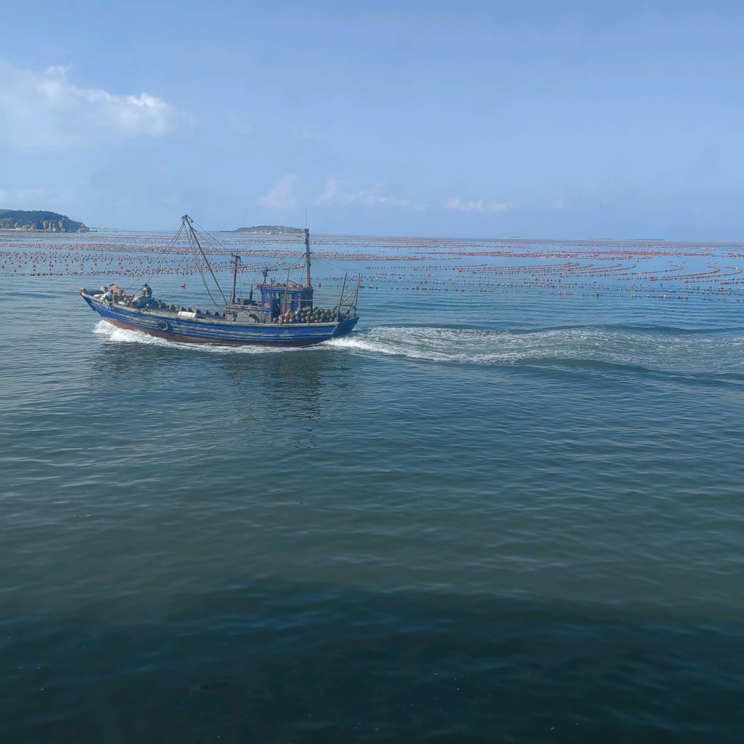 远风（视力养护）