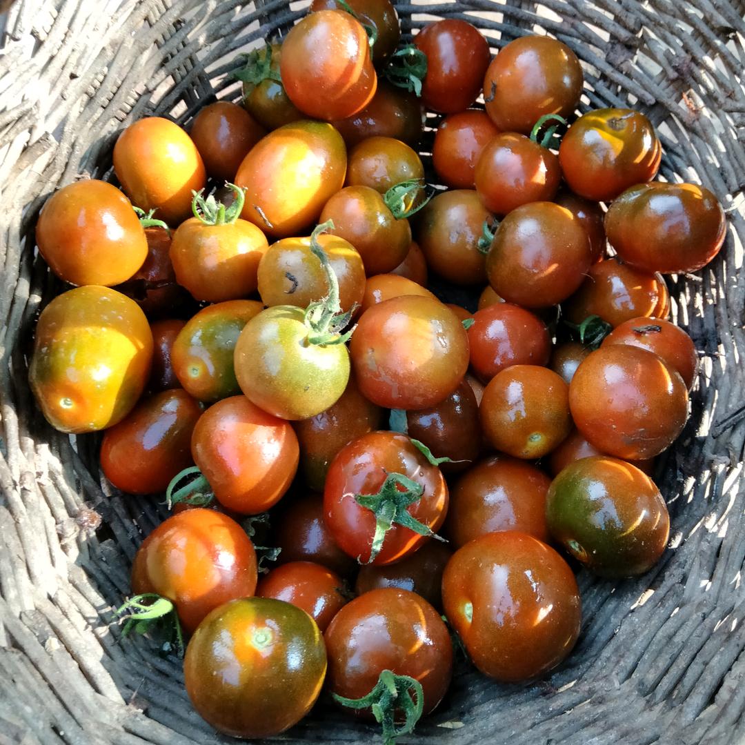 老品种天然粮食和蔬菜
