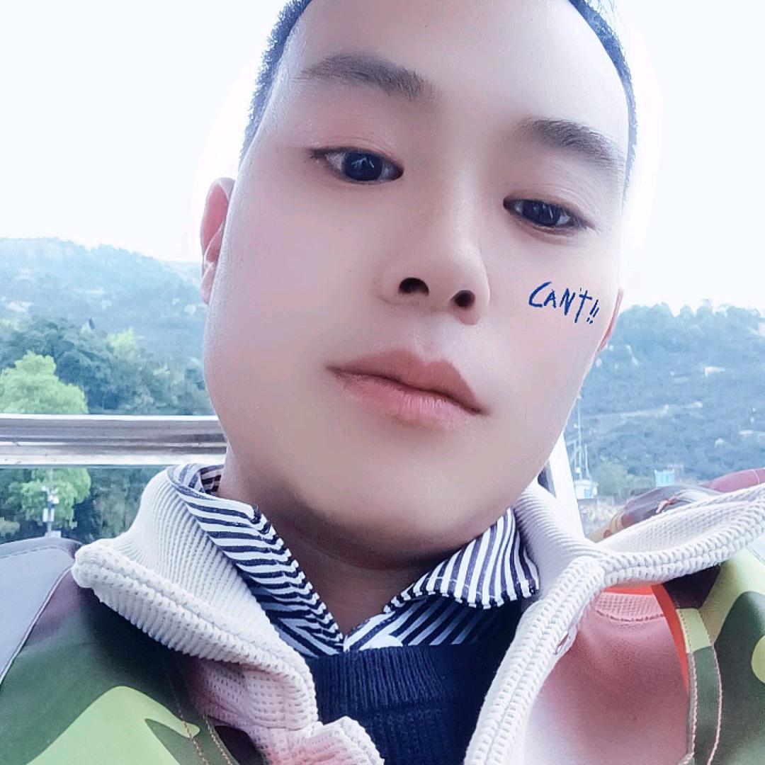 笨鸟地梦