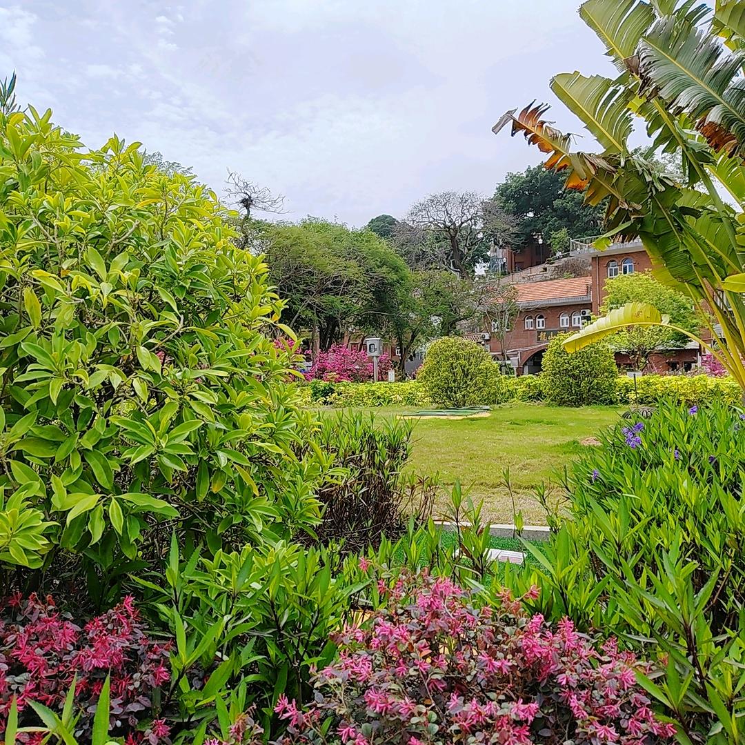 🌴心善🍃福自来🌾