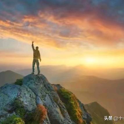 荷叶上的蜻蜓<阿海>