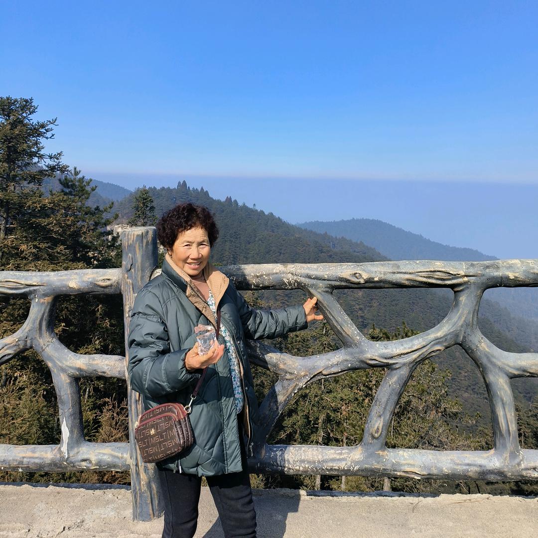杨家大姐