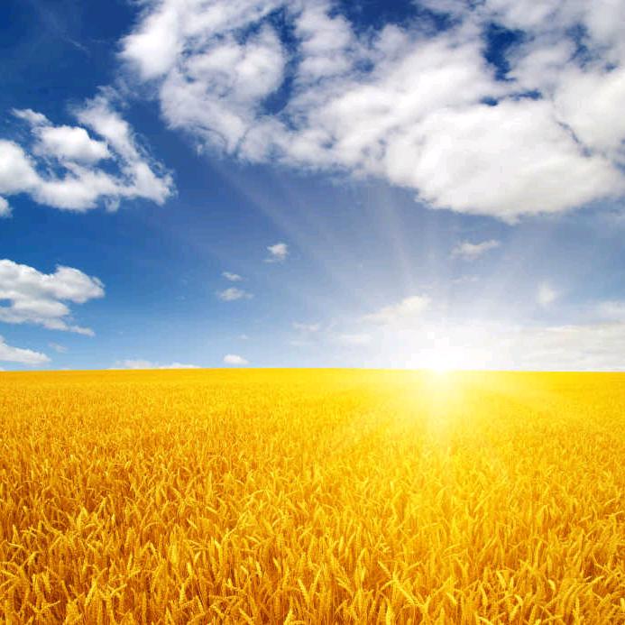 洛克军警🔯BOOS