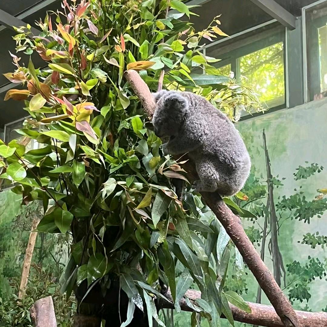 桃花潭水深千尺