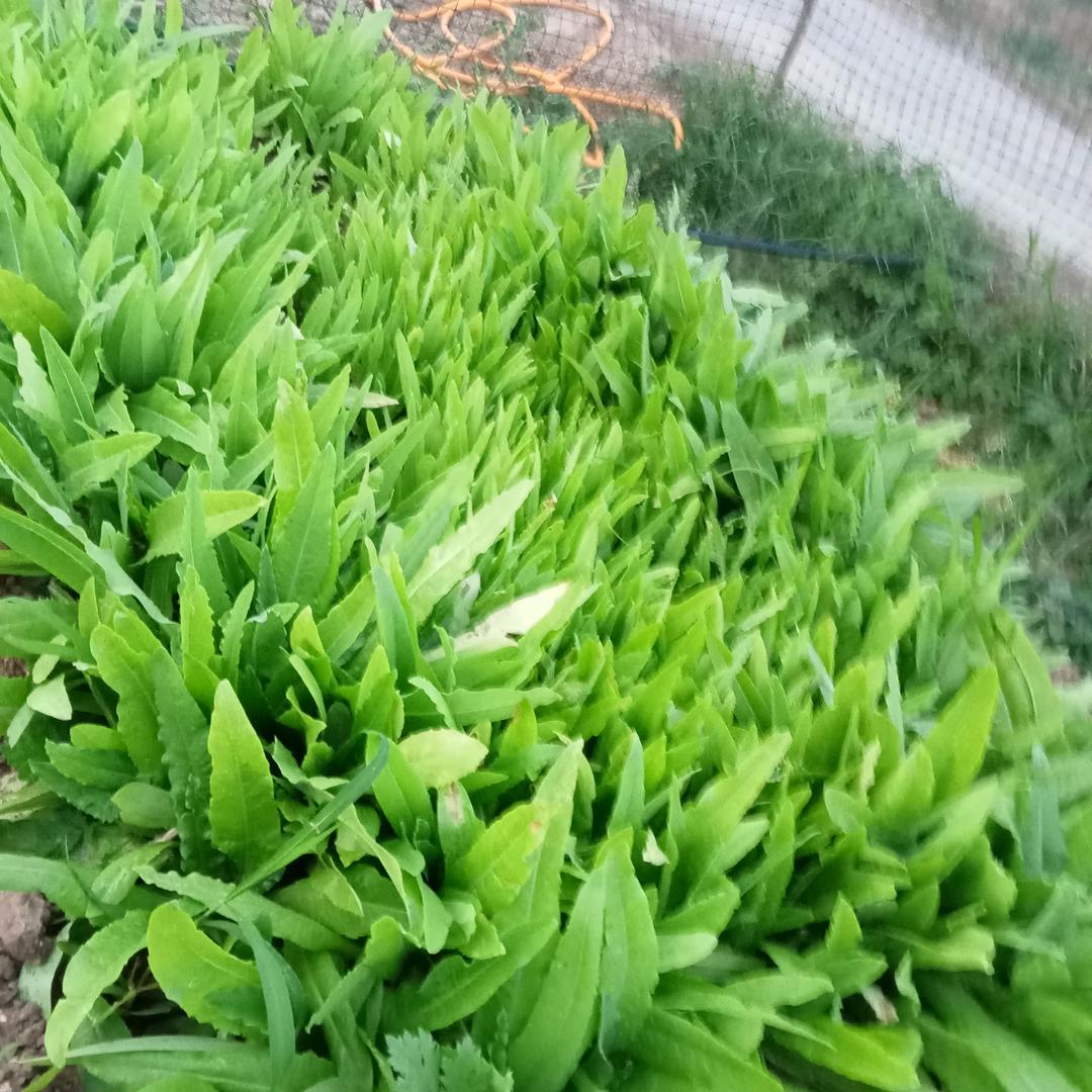 赵丽丽