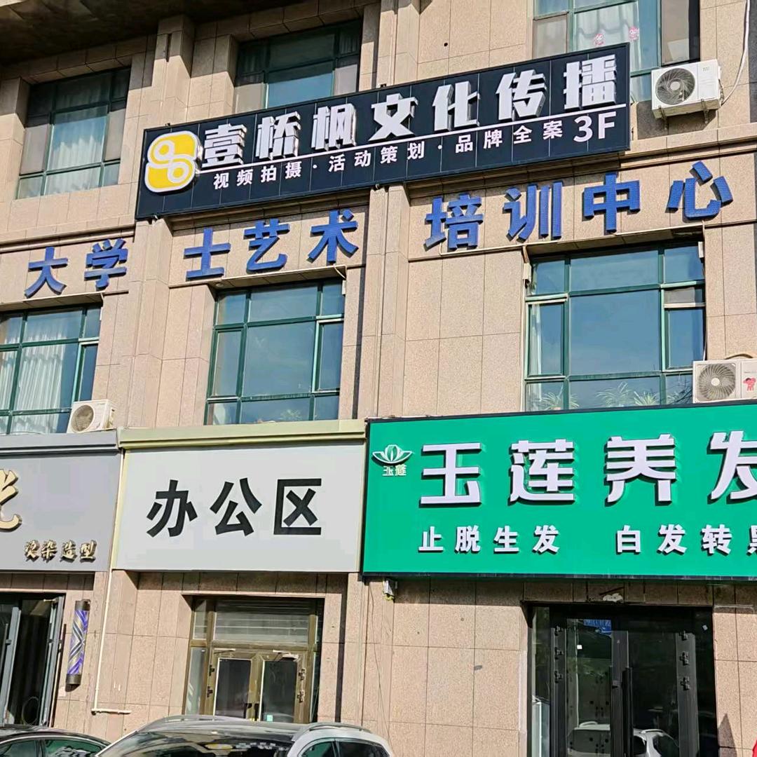 大学士艺术V.t金童年托管