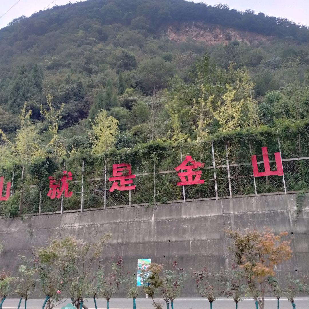 老爷子
