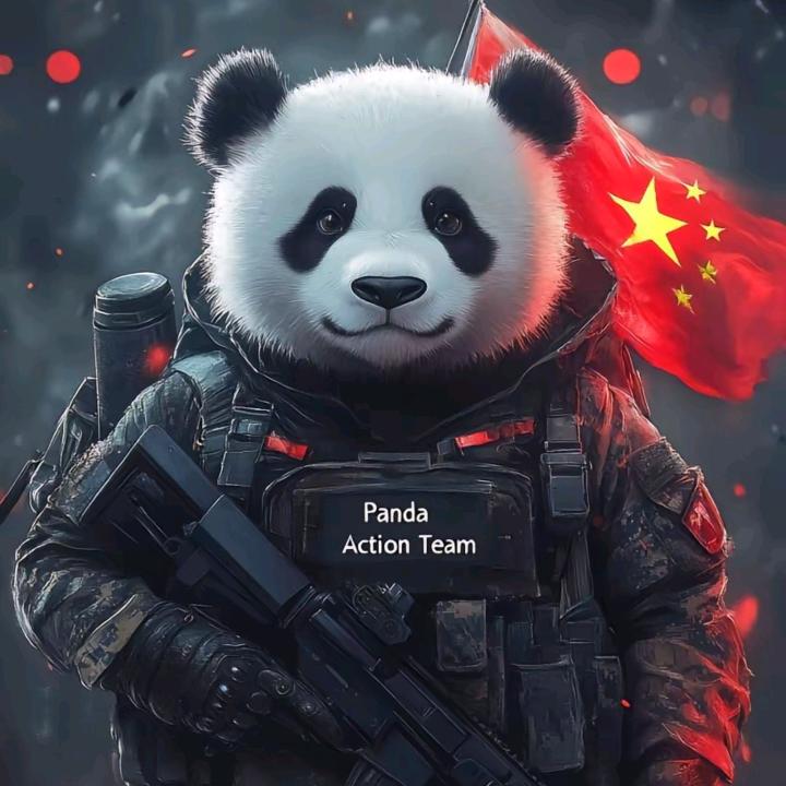 🌵无条件